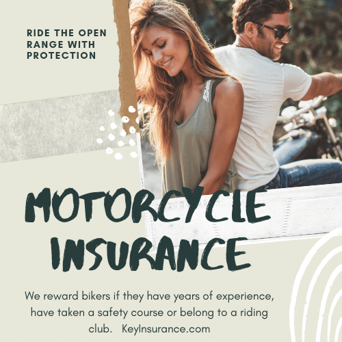 Motorcycle protection (1)